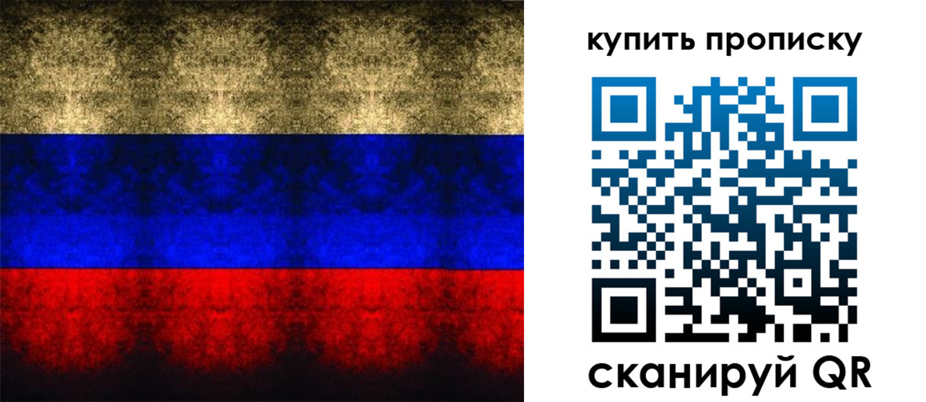 прописка в Заринске